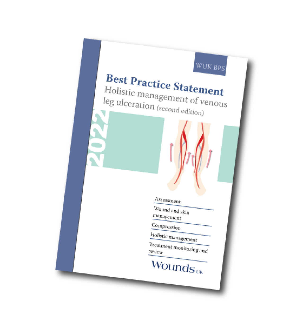 Best Practice Statement: The use of compression therapy for